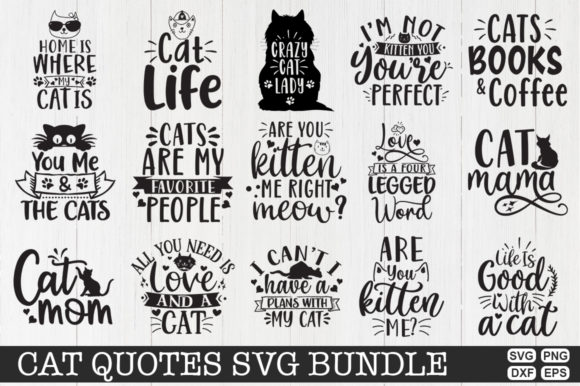 Cat Quotes Bundle: A Designer’s Embroidery Review